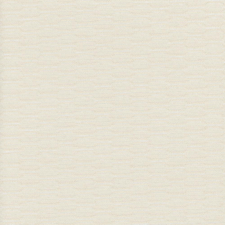 Life Long Foam by Carole Fabric Sheer Structure 100% Polyester Turkey N/A Horizontal: 0 and Vertical: 0 118 - Fabric Carolina -