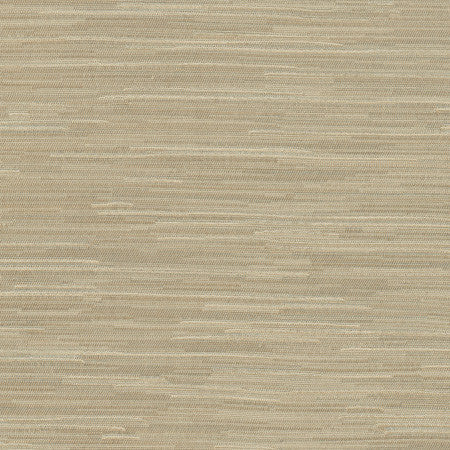 Suntan Putty by Carole Designer Fabric Excursion 95% Polyester, 5% Cotton India 8,000 Wyzenbeek Double Rubs Horizontal: None and Vertical: None 56.5" - Swanky Fabrics -