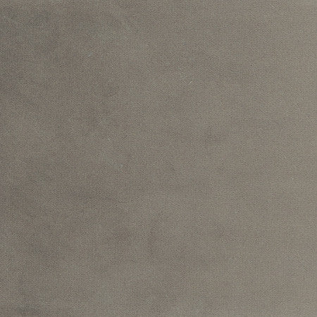 Plush Touch Charcoal by Carole Fabric Touch Of Luxury 100% Polyester Knit Backing China 235,000 Wyzenbeek Double Rubs None 55"  - Fabric Carolina -