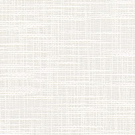 Gentle Rise Alabaster by Carole Fabric See It Through 83% Polyester, 17% Cotton India N/A None 55"  - Fabric Carolina -