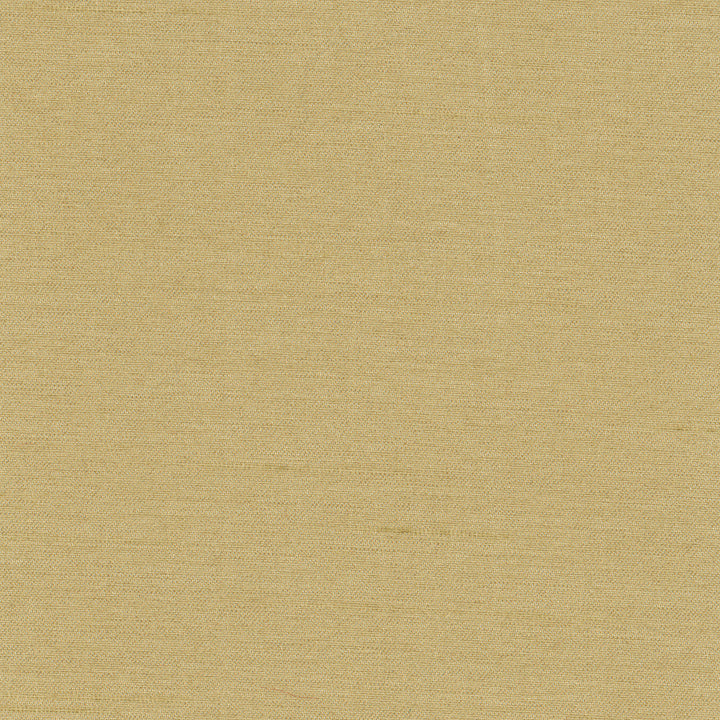 Northwind Doe by Carole Fabric New Northwind Iv 100% Polyester India Passes 9,000 Double Rubs Wyzenbeek Horizontal: 0 and Vertical: 0 54 - Fabric Carolina -