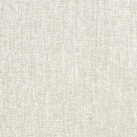 In A Picture Mist by Carole Fabric Form & Texture 55% Polyester, 45% Cotton N/A None 54" - Fabric Carolina -