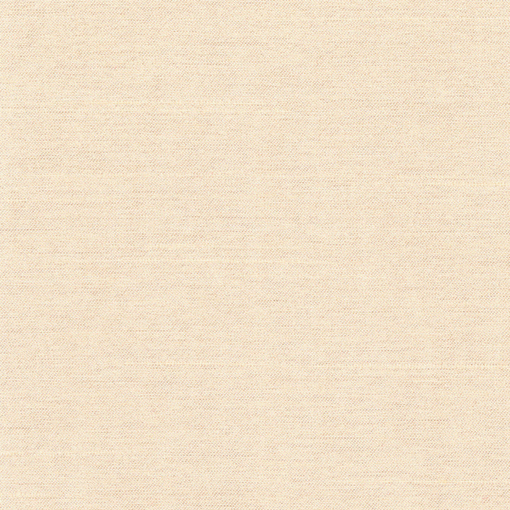 Northwind Dune by Carole Designer Fabric New Northwind Iv 100% Polyester India Passes 9,000 Double Rubs Wyzenbeek Horizontal: 0 and Vertical: 0 54 - Swanky Fabrics -