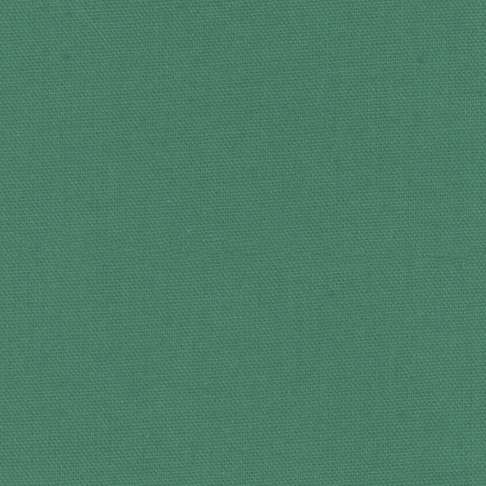 Daydreamer Evergreen by Carole Fabric Daydreaming 100% Cotton- Soil Release USA Passes 30,000 Double Rubs Wyzenbeek Horizontal: 0 and Vertical: 0 54 - Fabric Carolina -