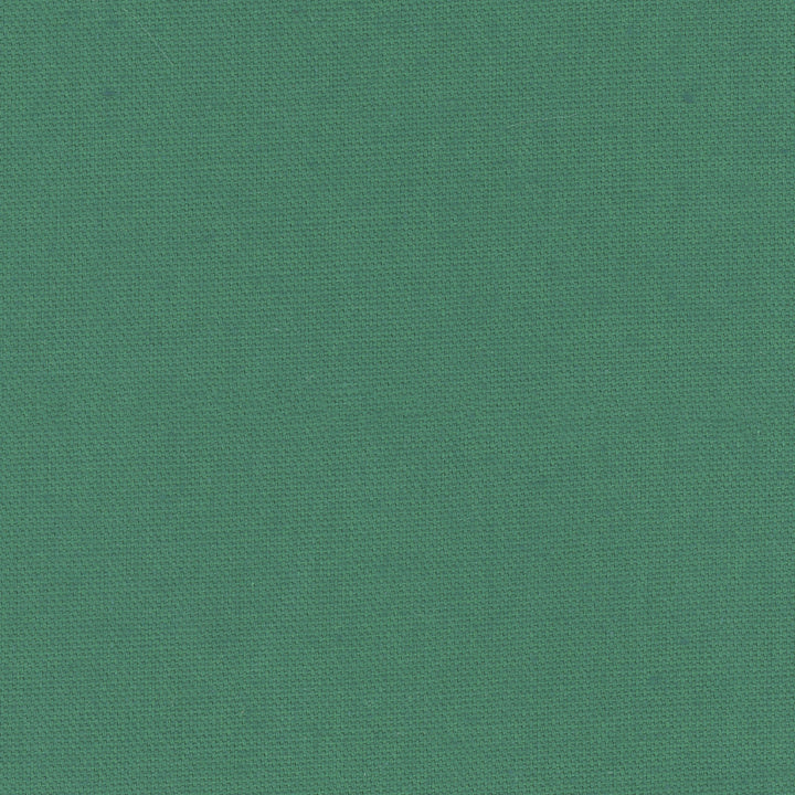 Daydreamer Evergreen by Carole Fabric Daydreaming 100% Cotton- Soil Release USA Passes 30,000 Double Rubs Wyzenbeek Horizontal: 0 and Vertical: 0 54 - Fabric Carolina -