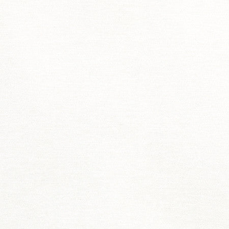 Admiration Cloud by Carole Designer Fabric Best Dressed 83% Polyester, 17% Cotton 15,000 Wyzenbeek Double Rubs None 54" - Swanky Fabrics -