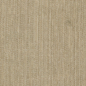 Inspire Taupe by Carole Fabric