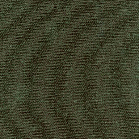 Bright Future Forest Green by Carole Fabric First Class 100% Polyester CHINA  None 54"  - Fabric Carolina -