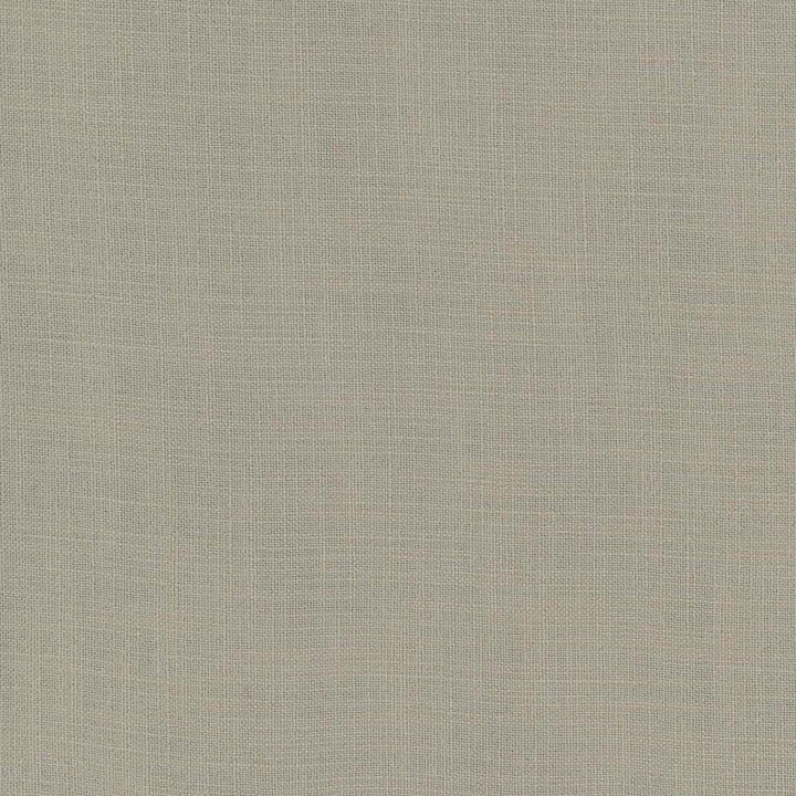 Fundamental Taupe by Carole Fabric Fundamental 100% Polyester Turkey Passes 20,000 Double Rubs Wyzenbeek Horizontal: 0 and Vertical: 0 54 - Fabric Carolina -