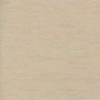 First Novel Wafer by Carole Fabric STATIONERY 72% Rayon, 28% Polyester China Passes 30,000 Double Rubs Wyzenbeek Horizontal: 0" and Vertical: 0" 55" - Fabric Carolina -