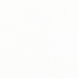 Carpenter White by Carole Fabric