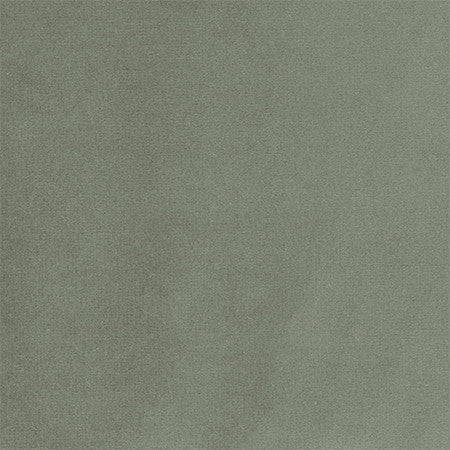 <p>Plush Touch Sage by Carole Designer Fabric</p><p><strong>Required Minimum Quantity Purchase: 2 yards</strong></p><p>Book: Warm Embrace</p><p>Content: 100% Polyester-Knit Backing</p><p>Origin: </p><p>Performance: 235,000 Wyzenbeek Double Rubs</p><p>Repeat: None</p><p>Width: 55""</p>