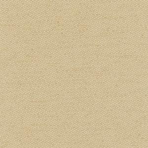 Fact Finder Desert by Carole Fabric