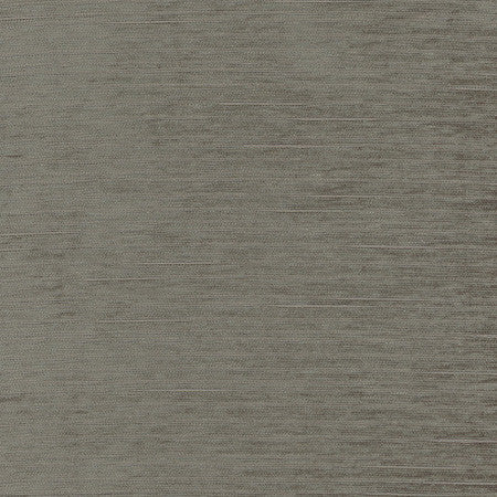 Stay Here Charcoal by Carole Fabric Birch 100% Polyester China N/A </p><p>Repeat: None 55" - Fabric Carolina -