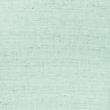 Foreseeable Mint by Carole Designer Fabric Celadon 100% Polyester India N/A Horizontal: None and Vertical: None 54" - Swanky Fabrics -