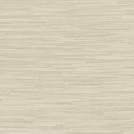 Suntan Raffia by Carole Fabric Excursion 95% Polyester, 5% Cotton India 8,000 Wyzenbeek Double Rubs Horizontal: None and Vertical: None 56.5" - Fabric Carolina -