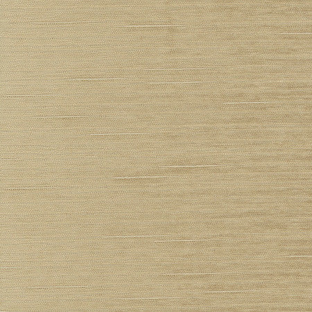 Stay Here Natural by Carole Fabric Birch 100% Polyester China N/A Horizontal: None and Vertical: None 55" - Fabric Carolina -