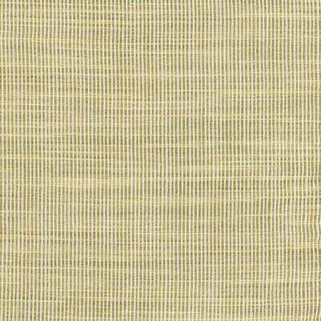 Secret Service Lime by Carole Fabric Laguna 100% Polyester INDIA  None 54"  - Fabric Carolina -