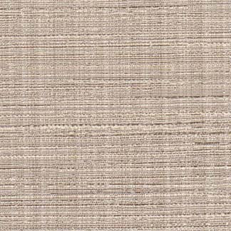 Kagan Malt by Carole Fabric A La Carte 76% POLYESTER, 24% RAYON INDIA N/A Horizontal: None and Vertical: NONE 54" - Fabric Carolina -