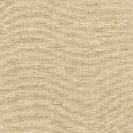 Training Day Sand by Carole Designer Fabric Sunbaked 92% Polyester, 8% Cotton INDIA N/A None 54" - Swanky Fabrics -