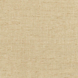 Training Day Sand by Carole Fabric