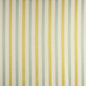 Onboard Surf by Carole Fabric