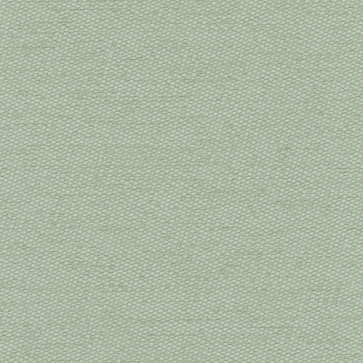 Fact Finder Seafoam by Carole Fabric Celadon 100% Polyester Turkey Passes 40,000 Double Rubs Wyzenbeek Horizontal: 0 and Vertical: 0 59 - Fabric Carolina -