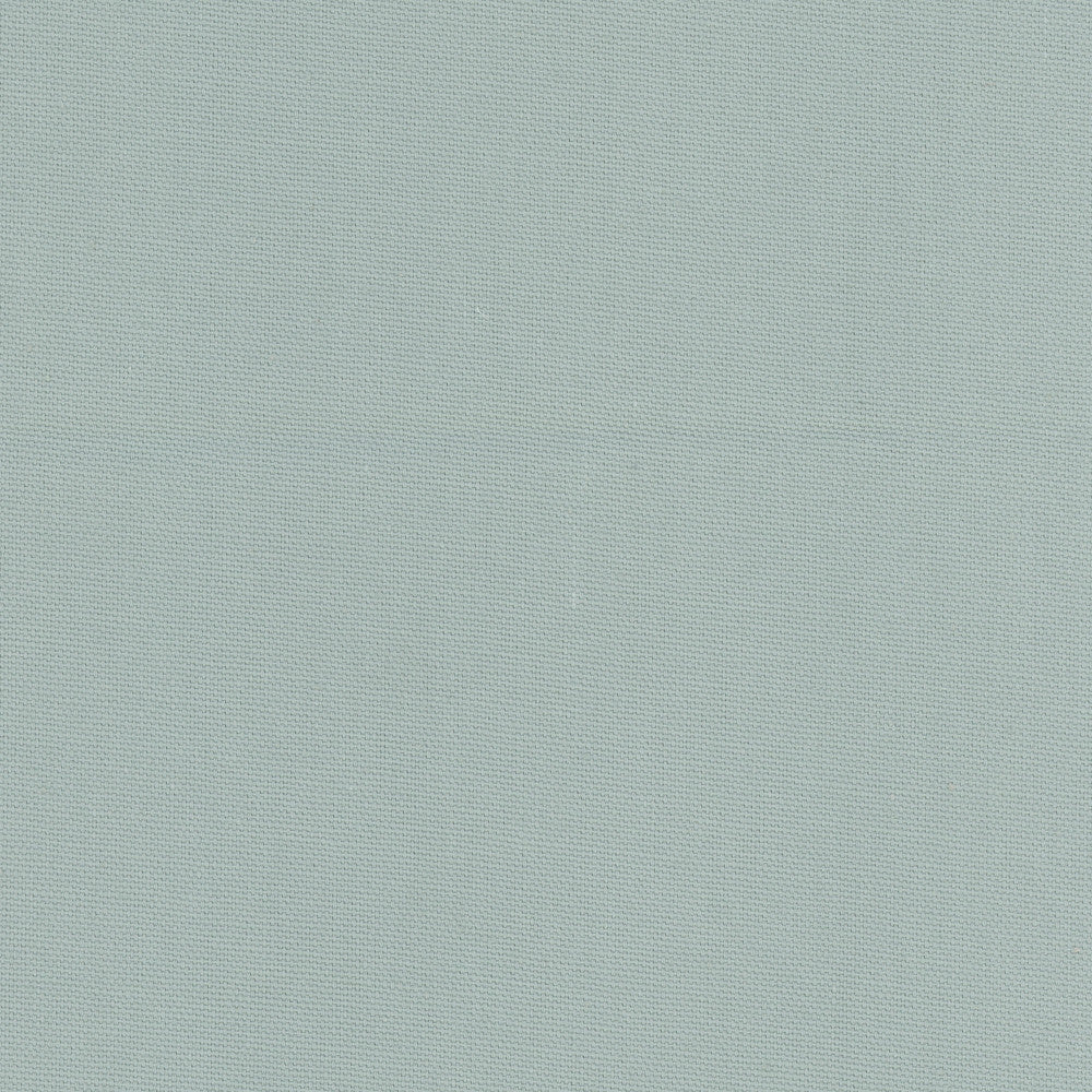 Daydreamer Mist by Carole Fabric Daydreaming 100% Cotton- Soil Release USA Passes 30,000 Double Rubs Wyzenbeek Horizontal: 0 and Vertical: 0 54 - Fabric Carolina -
