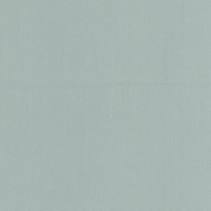 Daydreamer Mist by Carole Fabric Daydreaming 100% Cotton- Soil Release USA Passes 30,000 Double Rubs Wyzenbeek Horizontal: 0 and Vertical: 0 54 - Fabric Carolina -
