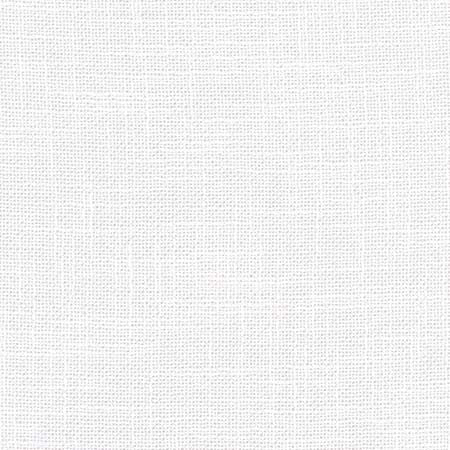 As Always Swan by Carole Designer Fabric See It Through 100% Polyester Turkey None 55.5" - Swanky Fabrics -