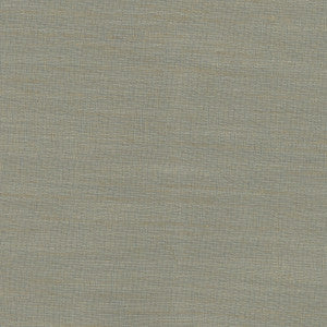 So Far Sage by Carole Fabric