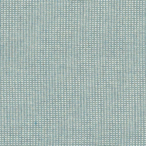 Dead Ringer Robin's Egg by Carole Fabric
