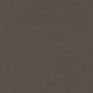 Daydreamer Slate by Carole Fabric
