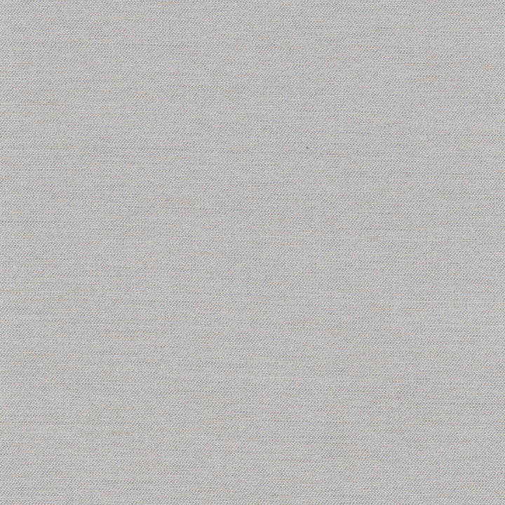 Northwind Dove by Carole Fabric New Northwind Iv 100% Polyester India Passes 9,000 Double Rubs Wyzenbeek Horizontal: 0 and Vertical: 0 54 - Fabric Carolina -