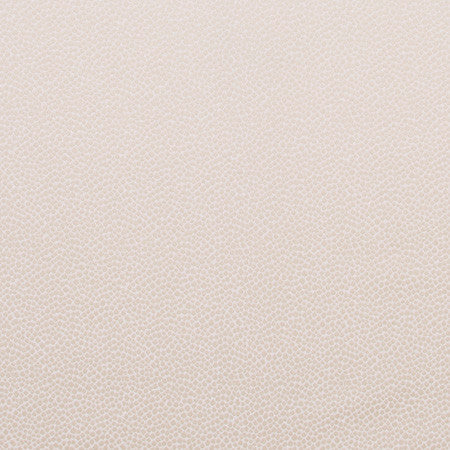 Armadillo Cream by Carole Fabric Jungle Safari 100% Polyester India N/A Horizontal: None and Vertical: None 54" - Fabric Carolina -