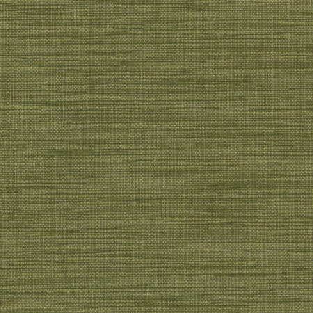 Optimism Forest by Carole Fabric Synchrony,Power Play 100% IFR Polyester 5,000 Wyzenbeek Double Rubs None 54" - Fabric Carolina -