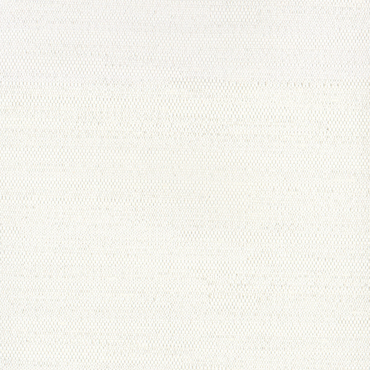 Aiden Off White by Carole Fabric Opal 100% Polyester India N/A Horizontal: 0 and Vertical: 0 54 - Fabric Carolina -