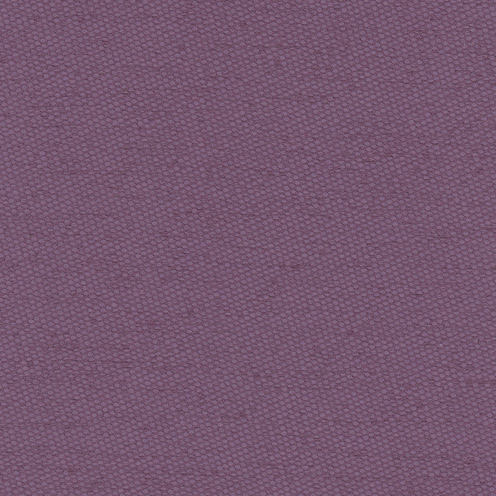 Fact Finder Purple by Carole Fabric Scarlet 100% Polyester Turkey Passes 40,000 Double Rubs Wyzenbeek Horizontal: 0 and Vertical: 0 59 - Fabric Carolina -