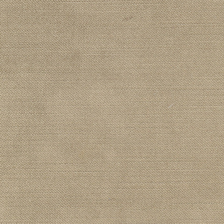 <p>Regal Touch Walnut by Carole Fabric</p><p><strong>Required Minimum Quantity Purchase: 2 yards</strong></p><p>Book: Touch Of Luxury,Warm Embrace</p><p>Content: 100% Polyester</p><p>Origin: </p><p>Performance: 15,000 Wyzenbeek Double Rubs</p><p>Repeat: None</p><p>Width: 55"</p>