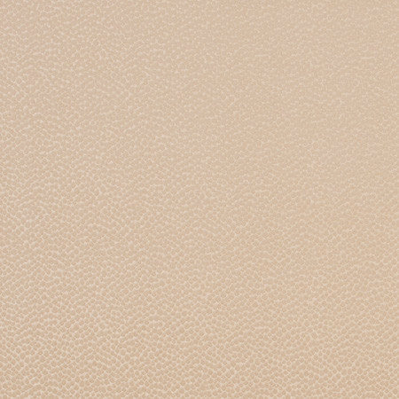 Armadillo Gilded by Carole Fabric Jungle Safari 100% Polyester India N/A Horizontal: None and Vertical: None 54" - Fabric Carolina -