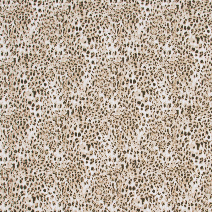 Spotted All Over Driftwood by Carole Fabric Jungle Safari 100% Cotton India Passes 30,000 Double Rubs Wyzenbeek Horizontal: 13.75 and Vertical: 13.5 54 - Fabric Carolina -
