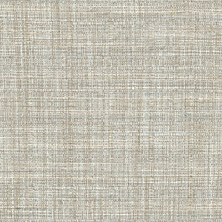 Main Chance Rain by Carole Fabric Abode 100% Polyester India 30,000 Wyzenbeek Double Rubs None 56"  - Fabric Carolina -