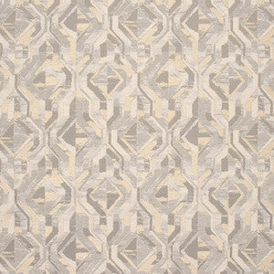 Have At It Silver by Carole Fabric