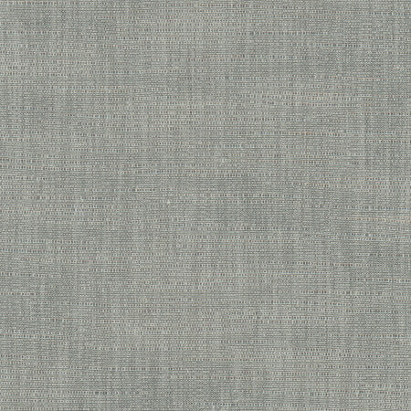Athlete Grey by Carole Fabric Pewter 60% Cotton, 40% Polyester India Passes 50,000 Double Rubs Wyzenbeek </p><p>Repeat: None 55" - Fabric Carolina -