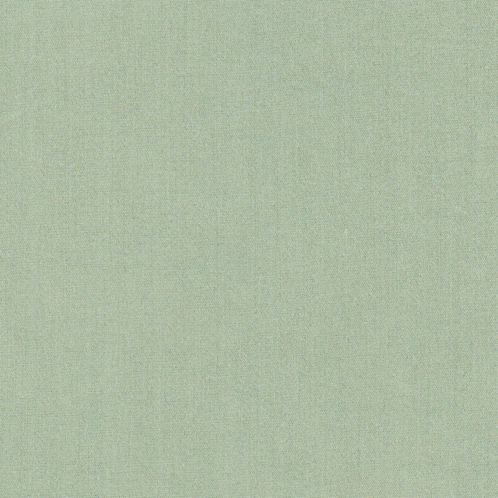 Tempt Horizon by Carole Fabric Royale 100% IFR Polyester India Passes 45,000 Double Rubs Wyzenbeek Horizontal: 0 and Vertical: 0 54 - Fabric Carolina -