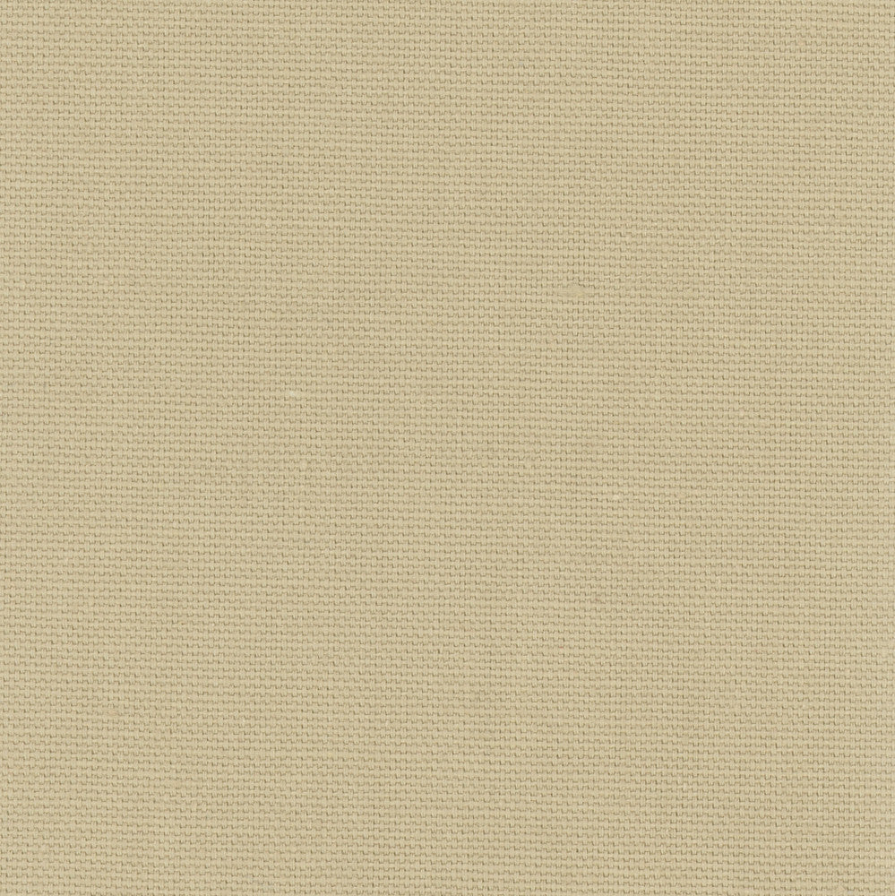 Daydreamer Raffia by Carole Fabric Daydreaming 100% Cotton- Soil Release USA Passes 30,000 Double Rubs Wyzenbeek Horizontal: 0 and Vertical: 0 54 - Fabric Carolina -
