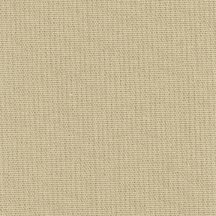 Daydreamer Raffia by Carole Fabric Daydreaming 100% Cotton- Soil Release USA Passes 30,000 Double Rubs Wyzenbeek Horizontal: 0 and Vertical: 0 54 - Fabric Carolina -