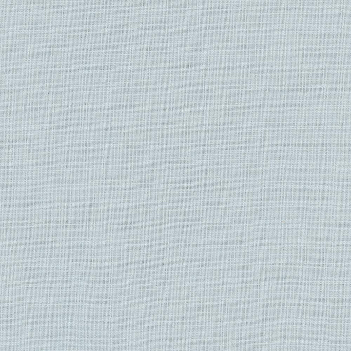 Fundamental Aqua by Carole Fabric Fundamental 100% Polyester Turkey Passes 20,000 Double Rubs Wyzenbeek Horizontal: 0 and Vertical: 0 54 - Fabric Carolina -