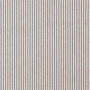 Be A Sport Charcoal by Carole Fabric