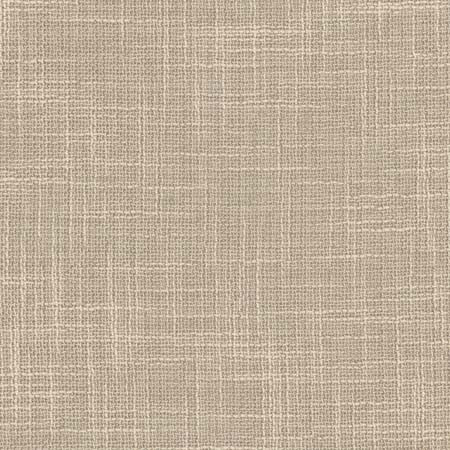 As Always Stone by Carole Fabric See It Through 100% Polyester Turkey  None 55.5"  - Fabric Carolina -